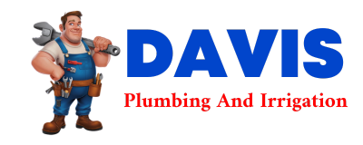 Trusted plumber in TIPPO